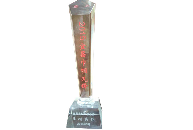 蔡总2015宜昌市巾帼先锋.jpg